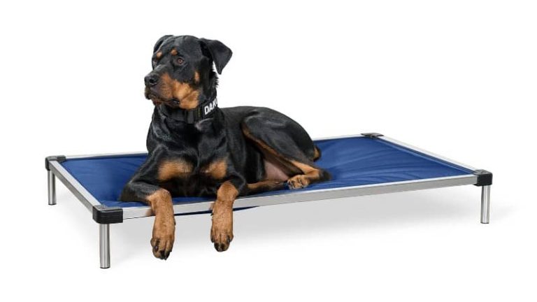 Unbreakable Comfort: Durable Dog Beds For Crates