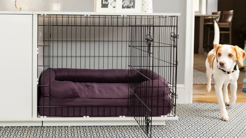 https://www.omlet.us/images/cache/1107/503/indoor-dog-crate-with-wardrobe-and-luxury-dog-bed.jpg